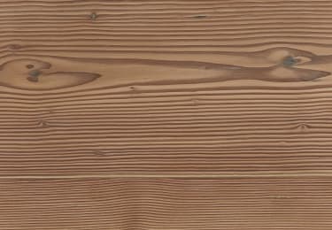 Forest Douglas Fir